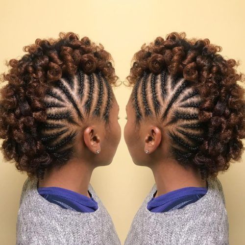 Braided Mohawk Hairstyles With Curls (Photo 10 of 20)