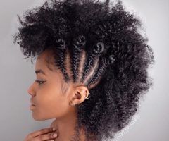 20 Inspirations Faux Mohawk Hairstyles with Natural Tresses