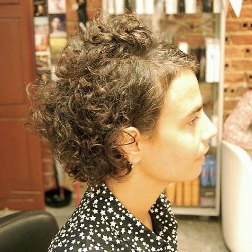 Edgy Short Curly Haircuts (Photo 5 of 15)