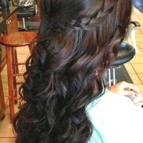 Braid And Curls Hairstyles (Photo 11 of 15)