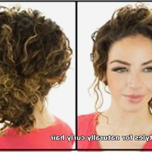 Naturally Curly Hair Updo Hairstyles (Photo 9 of 15)