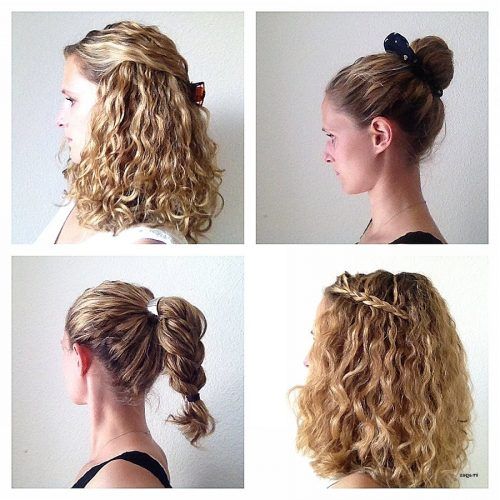 Easy Updos For Wavy Hair (Photo 5 of 15)