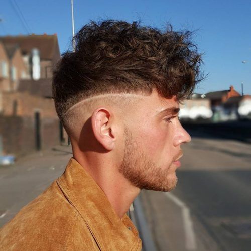 Undercut Hairstyles For Curly Hair (Photo 15 of 20)