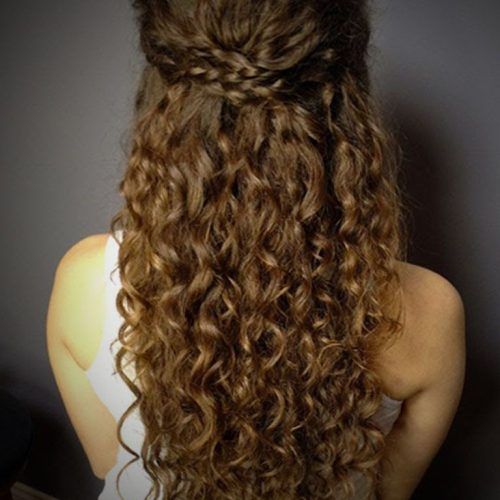 Half Up Curly Hairstyles With Highlights (Photo 7 of 20)