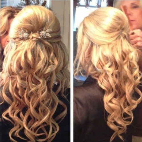 Curly Half Updo Hairstyles (Photo 5 of 15)