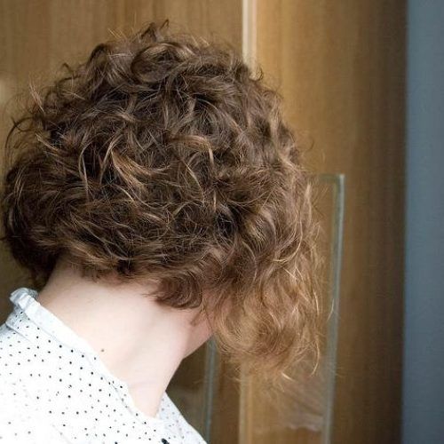 Long Curly Bob throughout Most Popular Curly Inverted Bob Hairstyles (Photo 72 of 292)