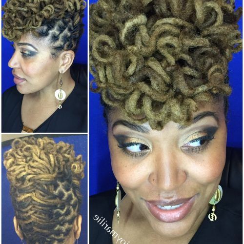 Updo Hairstyles For Long Locs (Photo 14 of 15)