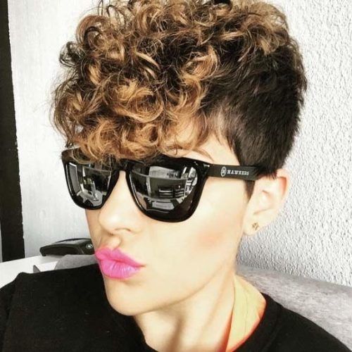 Curly Pixie Haircuts (Photo 6 of 20)