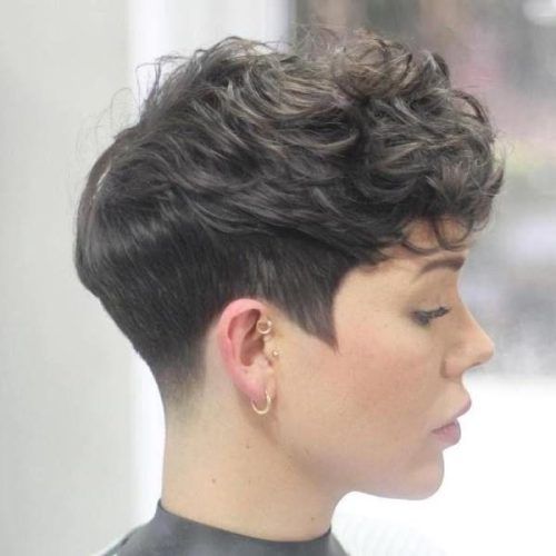 Pixie Haircuts For Curly Hair (Photo 4 of 20)