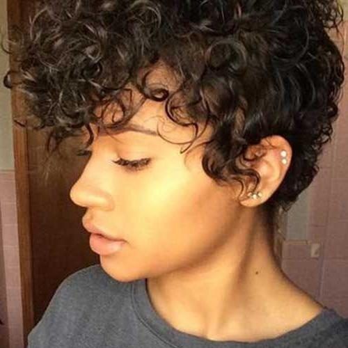 Short Pixie Haircuts For Curly Hair (Photo 17 of 20)