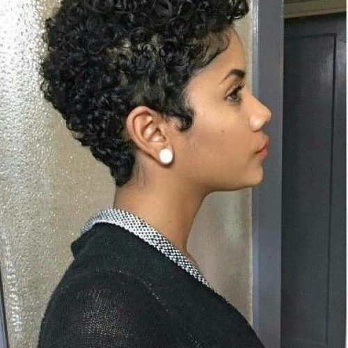 Naturally Curly Pixie Haircuts (Photo 6 of 20)