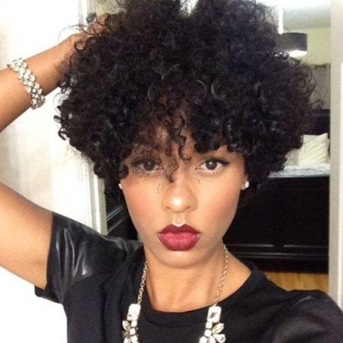 Naturally Curly Short Hairstyles (Photo 15 of 20)