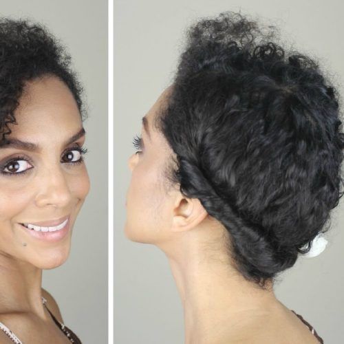 Natural Curly Hair Updo Hairstyles (Photo 11 of 15)