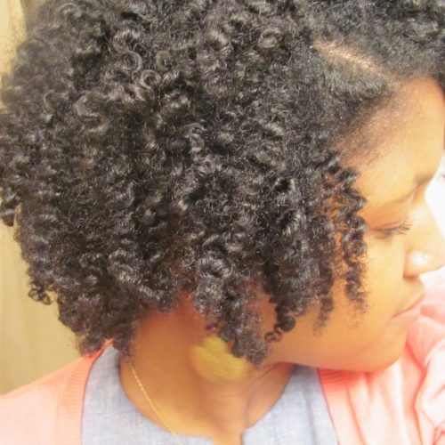 Flat Twists Into Twist Out Curls (Photo 12 of 15)