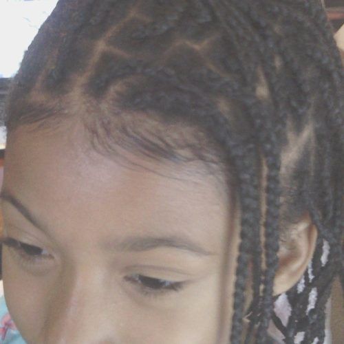 Braided Hairstyles Without Edges (Photo 11 of 15)