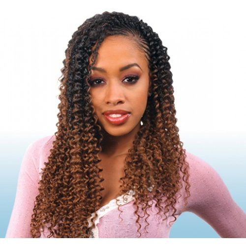 Braided Extension Hairstyles (Photo 13 of 15)