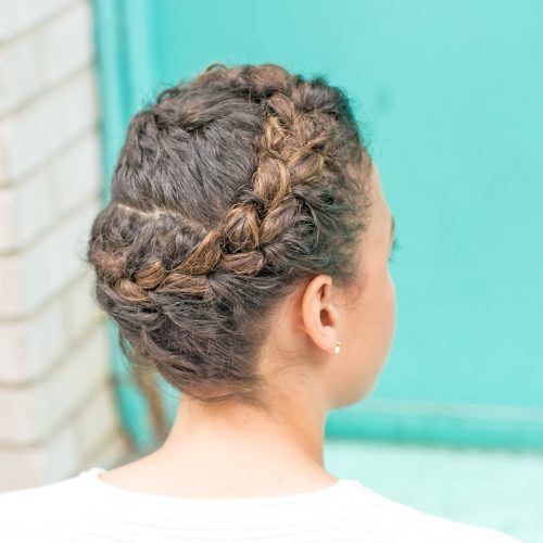Braided Hairstyles For Curly Hair (Photo 8 of 15)