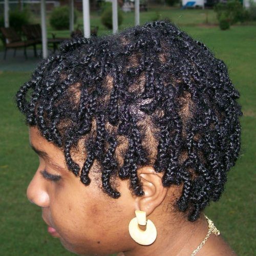 Braided Hairstyles On Short Natural Hair (Photo 4 of 15)
