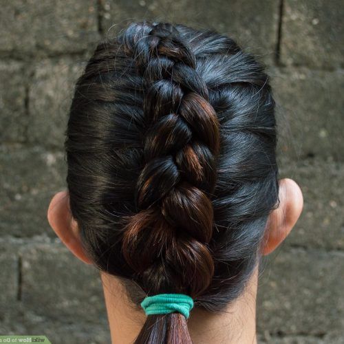 Chunky French Braid Chignon Hairstyles (Photo 14 of 20)