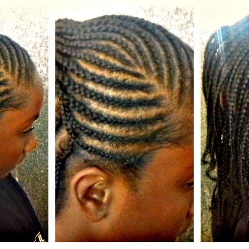 Cornrows Hairstyles For Toddlers (Photo 13 of 15)