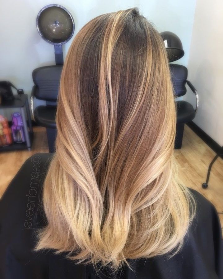 2024 Latest Dark Roots Blonde Hairstyles with Honey Highlights