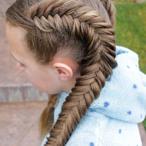 Double Dutch Braids Hairstyles (Photo 3 of 20)