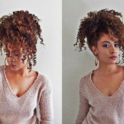 Easy High Pony Hairstyles For Curly Hair (Photo 1 of 20)