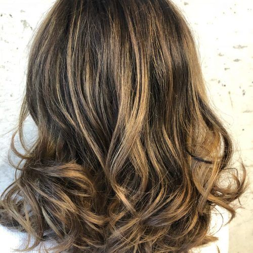 Honey Kissed Highlights Curls Hairstyles (Photo 13 of 20)