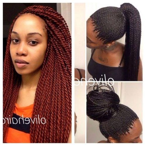 Senegalese Braided Hairstyles (Photo 13 of 15)