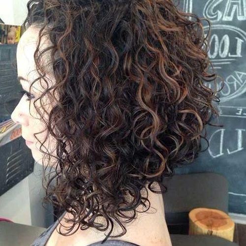 Short Curly Inverted Bob Hairstyles (Photo 4 of 15)
