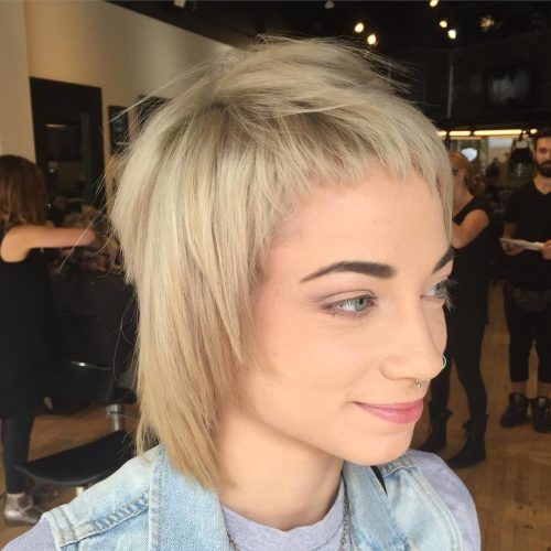 Short Shaggy Hairstyles For Grey Hair (Photo 5 of 15)