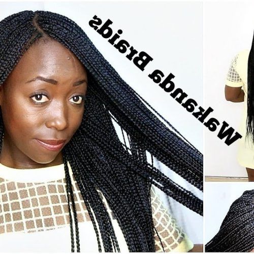 Side-Parted Loose Cornrows Braided Hairstyles (Photo 12 of 20)