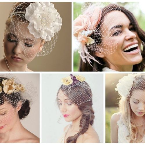 Wedding Hairstyles For Short Hair With Birdcage Veil (Photo 11 of 15)