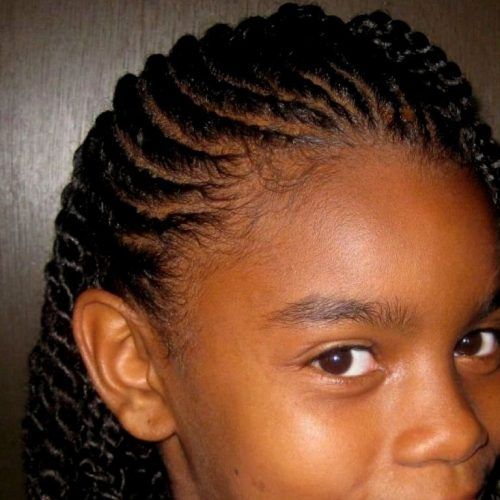 Quick Braided Hairstyles For Black Hair (Photo 11 of 15)