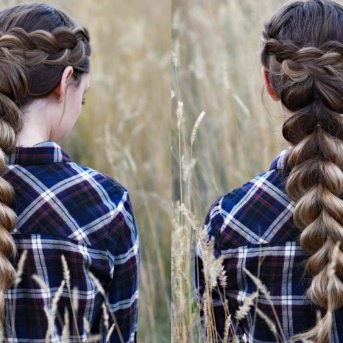 Braided And Wrapped Hairstyles (Photo 1 of 20)