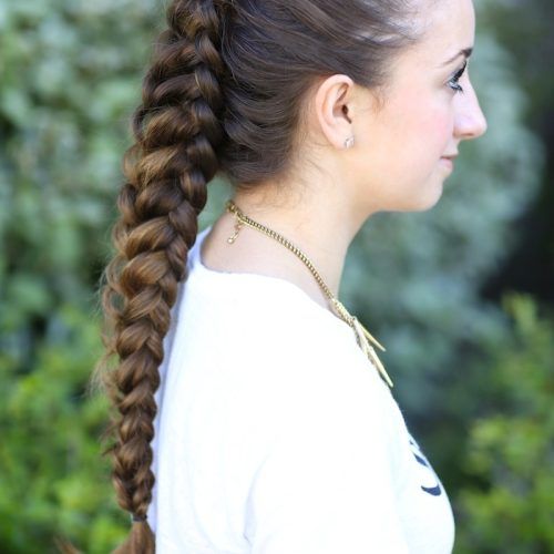Middle Part Braided Hairstyles (Photo 15 of 15)