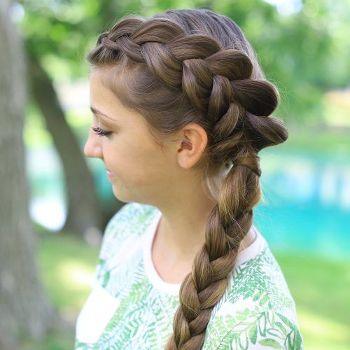 Pony And Dutch Braid Combo Hairstyles (Photo 4 of 20)