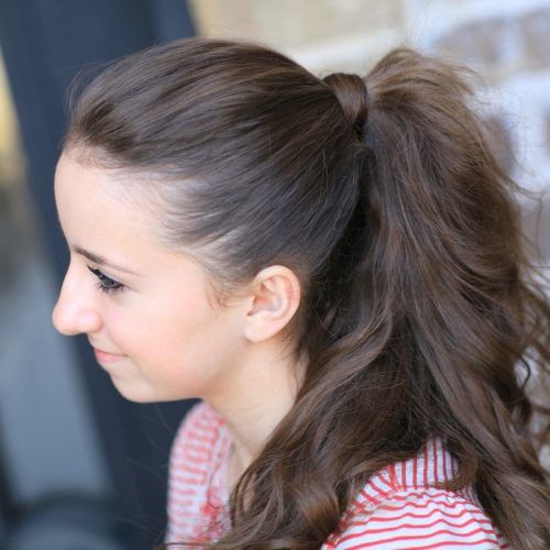 Updo Ponytail Hairstyles With Poof (Photo 7 of 20)