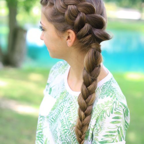 Pony And Dutch Braid Combo Hairstyles (Photo 8 of 20)