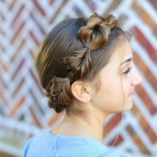 Fishtail Crown Braid Hairstyles (Photo 14 of 20)