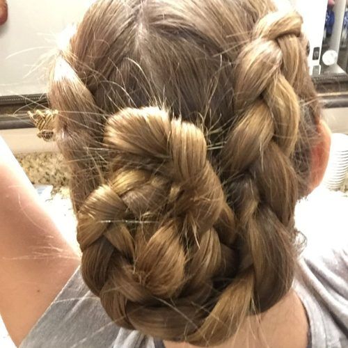 Pinned Up French Plaits Hairstyles (Photo 4 of 15)