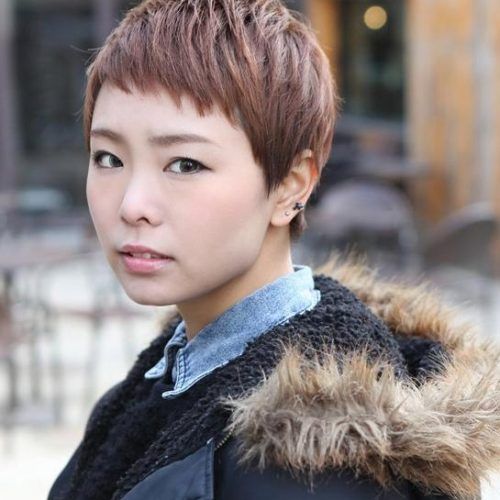 Very Short Asian Hairstyles (Photo 6 of 20)