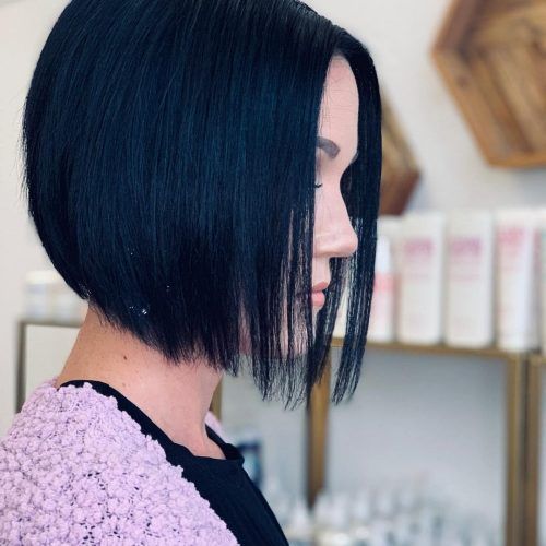 Short Hair Hairstyles With Blueberry Balayage (Photo 17 of 20)
