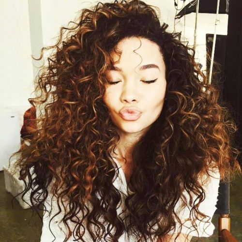 Brown Curly Hairstyles With Highlights (Photo 8 of 20)