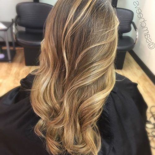 Honey Kissed Highlights Curls Hairstyles (Photo 8 of 20)