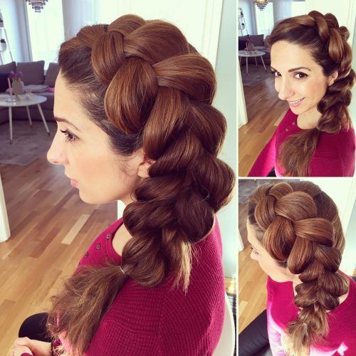 Side Dutch Braided Hairstyles (Photo 11 of 20)
