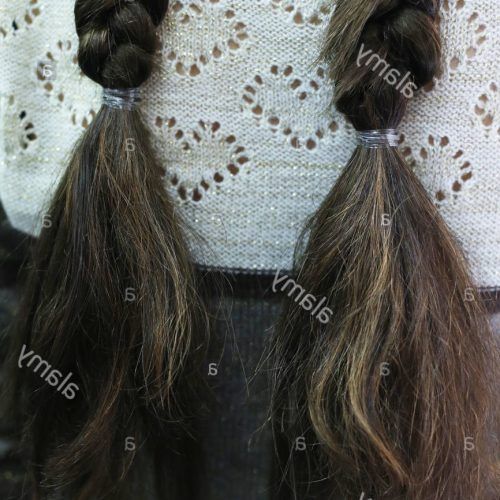 Thick And Thin Braided Hairstyles (Photo 15 of 20)
