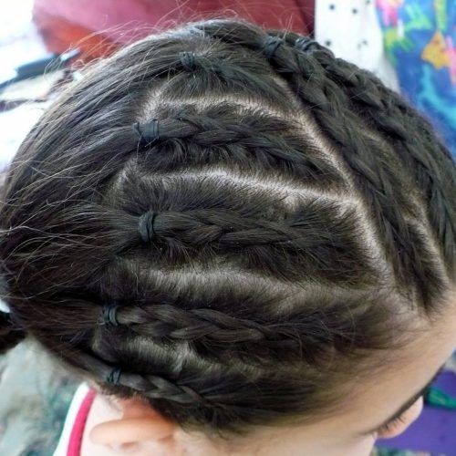 Ponytail And Lacy Braid Hairstyles (Photo 7 of 20)
