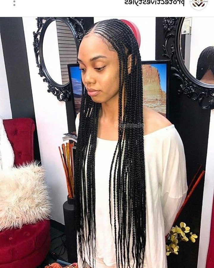 2024 Popular Braided Hairstyles to the Scalp
