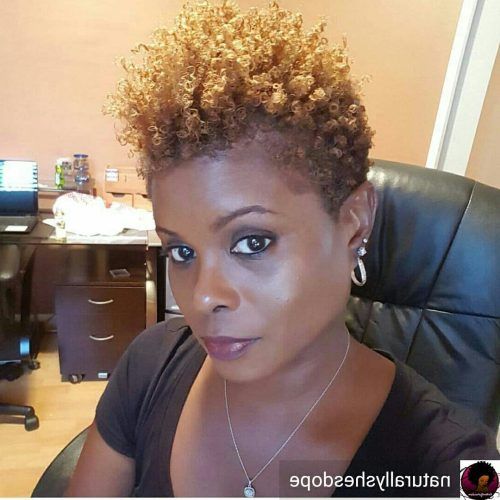 Curly Black Tapered Pixie Hairstyles (Photo 1 of 20)